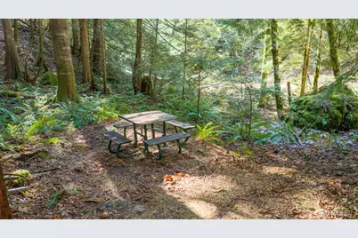 13 Dow Ridge Road, Hoodsport, WA 98548 - Photo 11