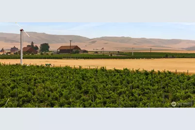 401 Healey Drive, Walla Walla, WA 99362 - Photo 13