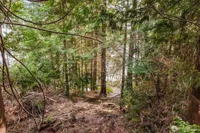 10212 NE North Shore Road, Belfair, WA 98528 - Photo 23