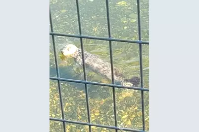 10212 NE North Shore Road, Belfair, WA 98528 - Photo 31