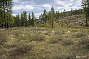 1 N Cook Mt Rd, Okanogan, WA 98840 - Photo 1