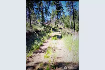 111 Tbd J H Green Rd, Tonasket, WA 98855 - Photo 11