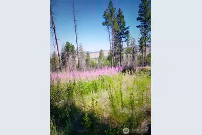 111 Tbd J H Green Rd, Tonasket, WA 98855 - Photo 1