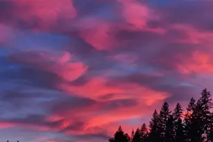 21550 1st Ct S, Normandy Park, WA 98198 - Photo 39