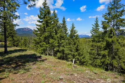 45 Gold Leaf Lane, Cle Elum, WA 98922 - Photo 11