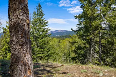 45 Gold Leaf Lane, Cle Elum, WA 98922 - Photo 7