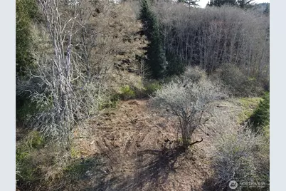 0 Xxx Embody Road, Port Ludlow, WA 98365 - Photo 11