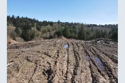 559 Kool Road, Kelso, WA 98626 - Photo 15