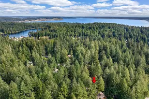 11316 Laurel Pl, Anderson Island, WA 98303 - Photo 35