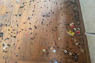 2802 241st Pl SW, Brier, WA 98036 - Photo 27