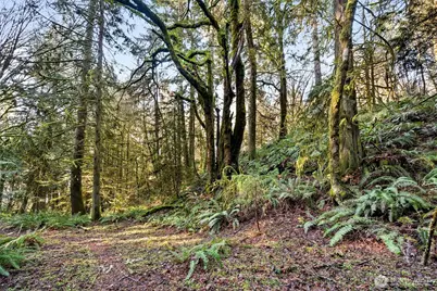 0 SE Totten Shores Drive, Shelton, WA 98584 - Photo 21