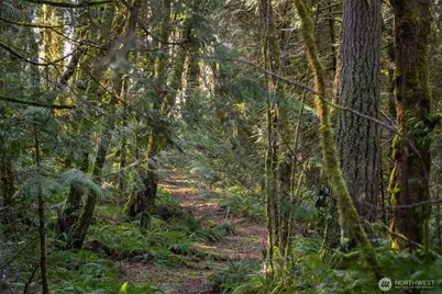 0 SE Totten Shores Drive, Shelton, WA 98584 - Photo 11