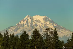 9512 Engelmann Dr SE, Lacey, WA 98513 - Photo 17