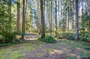 870 238th Ave NE, Sammamish, WA 98074 - Photo 5