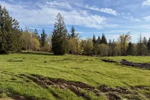 0 Grimm Rd, Kelso, WA 98626 - Photo 1