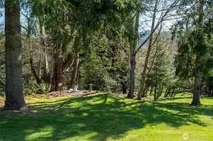 440 N Maple Hill Rd, Kelso, WA 98626 - Photo 27