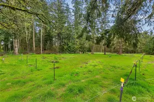 7716 304th St E, Graham, WA 98338 - Photo 23