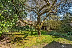 942 N 81st St, Seattle, WA 98103 - Photo 23