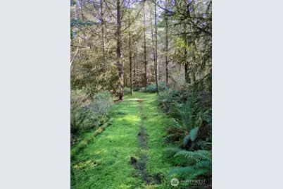 1319 Winlock Vader Road #19, Winlock, WA 98596 - Photo 15