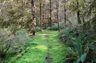 1319 Winlock-Vader Rd, Winlock, WA 98596 - Photo 15