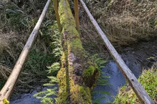 1319 Winlock-Vader Rd, Winlock, WA 98596 - Photo 31