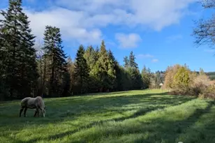 1319 Winlock-Vader Rd, Winlock, WA 98596 - Photo 17