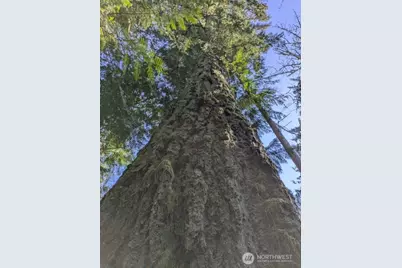 1319 Winlock Vader Road #19, Winlock, WA 98596 - Photo 33