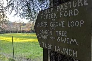 1319 Winlock-Vader Rd, Winlock, WA 98596 - Photo 35