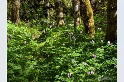 1319 Winlock Vader Road #19, Winlock, WA 98596 - Photo 13