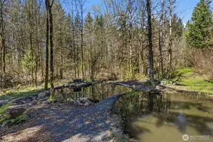 337 Jorgensen Rd, Onalaska, WA 98570 - Photo 13