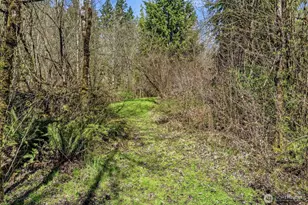 337 Jorgensen Rd, Onalaska, WA 98570 - Photo 15