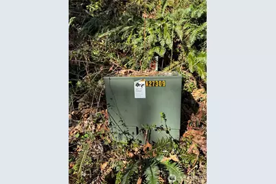 15215 320th Street NE, Arlington, WA 98223 - Photo 3