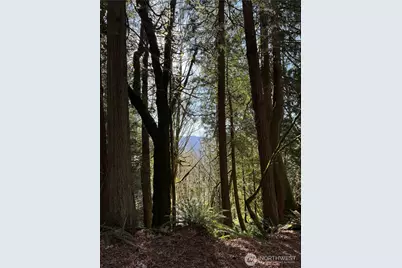 15215 320th Street NE, Arlington, WA 98223 - Photo 7