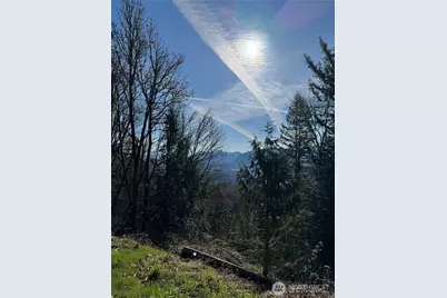 15215 320th Street NE, Arlington, WA 98223 - Photo 9