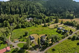 241 W Deyette Rd, Shelton, WA 98584 - Photo 39