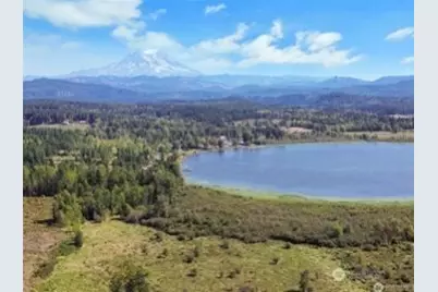 40325 Dean Kreger Road E, Eatonville, WA 98328 - Photo 1