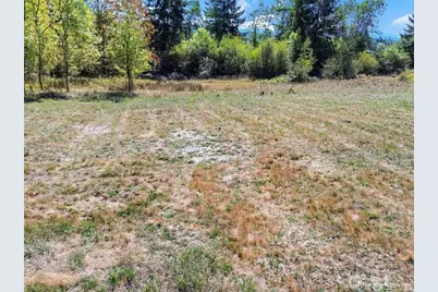 40325 Dean Kreger Road E, Eatonville, WA 98328 - Photo 9