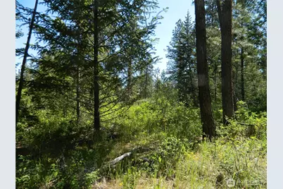 0 Tbd Murphy Ranch Road, Tonasket, WA 98855 - Photo 7
