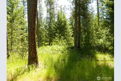 0 Tbd Murphy Ranch Road, Tonasket, WA 98855 - Photo 3