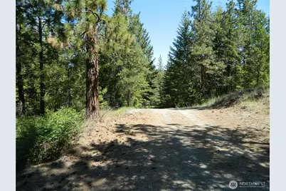 0 Tbd Murphy Ranch Road, Tonasket, WA 98855 - Photo 1