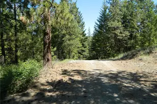 0 Tbd Murphy Ranch Rd, Tonasket, WA 98855 - Photo 1