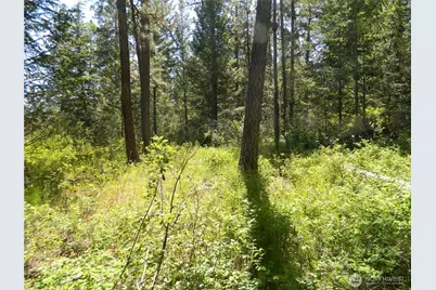 0 Tbd Murphy Ranch Road, Tonasket, WA 98855 - Photo 5