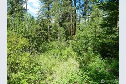0 Tbd Murphy Ranch Road, Tonasket, WA 98855 - Photo 11