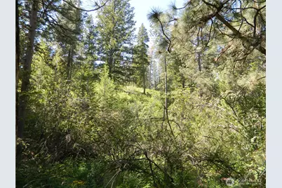 0 Tbd Murphy Ranch Road, Tonasket, WA 98855 - Photo 9