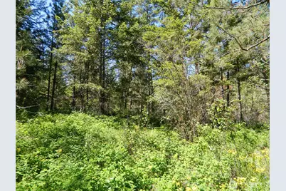 111 Tbd Murphy Ranch Road, Tonasket, WA 98855 - Photo 5