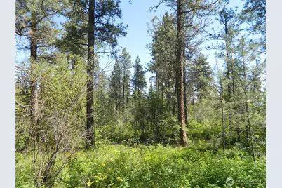 111 Tbd Murphy Ranch Road, Tonasket, WA 98855 - Photo 7