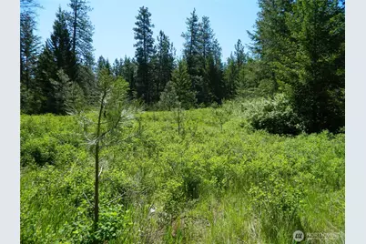 111 Tbd Murphy Ranch Road, Tonasket, WA 98855 - Photo 11