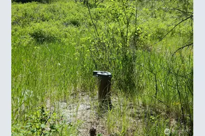 111 Tbd Murphy Ranch Road, Tonasket, WA 98855 - Photo 9