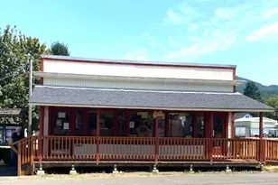 413 Morse St, Ryderwood, WA 98581 - Photo 25