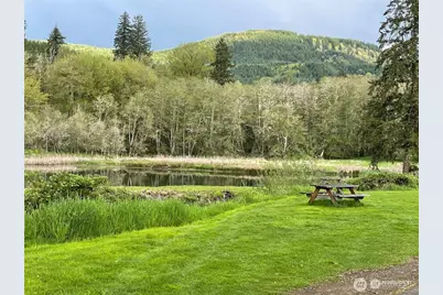 413 Morse Street, Ryderwood, WA 98581 - Photo 23